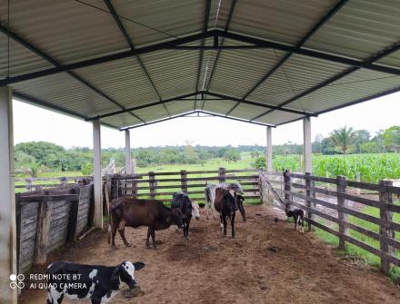 Estruturas Metálicas em Juruena MT
