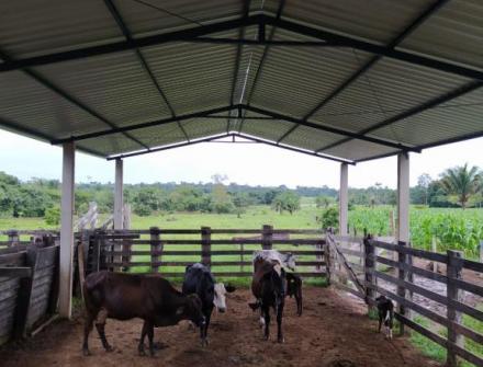 Estruturas Metálicas em Juruena MT