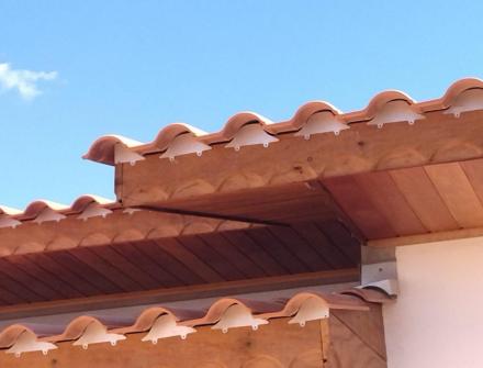 MORCEGUEIRAS em Juruena MT